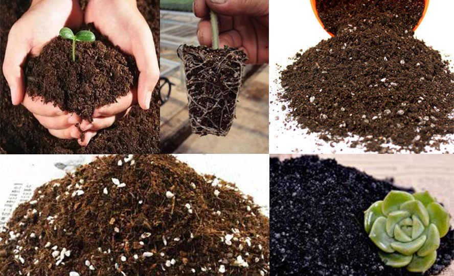Nutritive soil