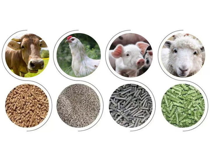 Applications of feed pellet