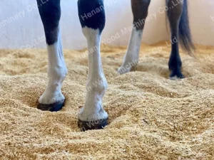 wood shavings for horse bedding